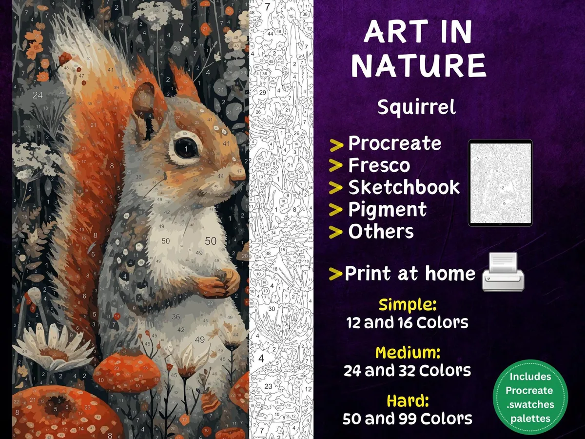 Squirrel Color by Number